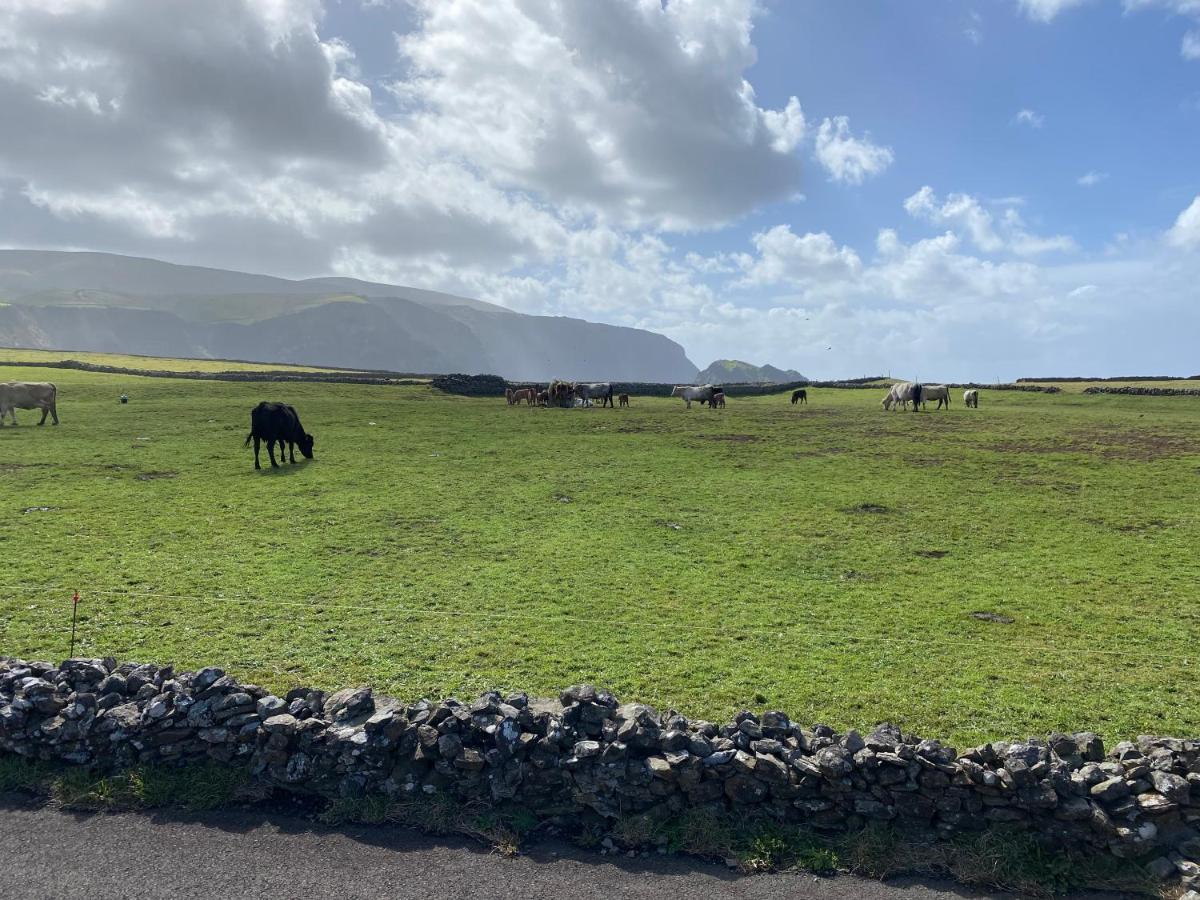 Ponta Delgada  Casa Bela Vista 빌라 외부 사진